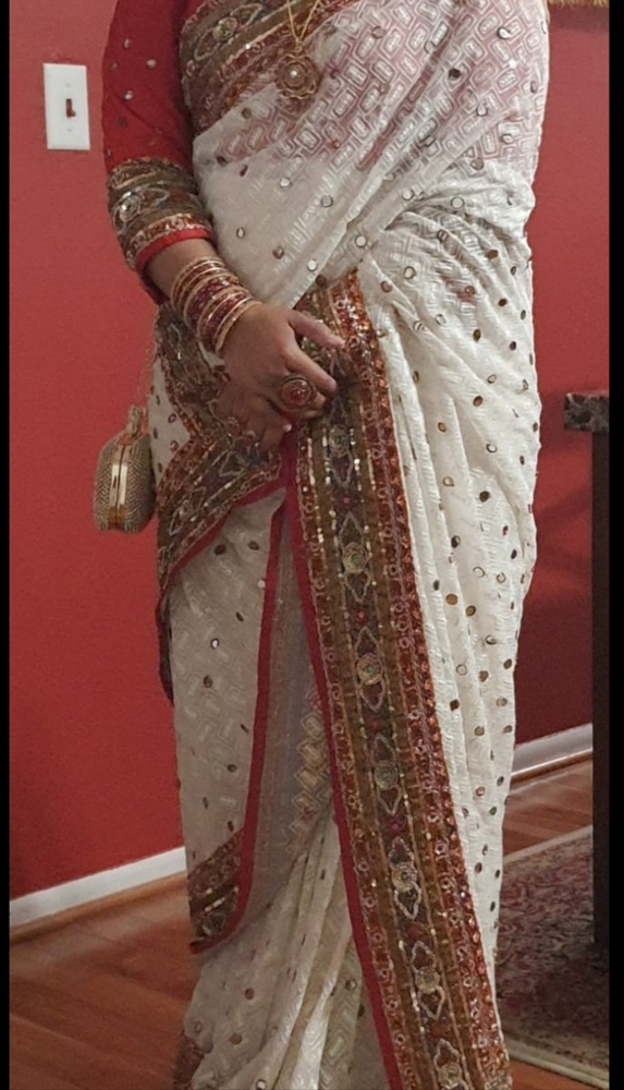 Indian Pakistani sari